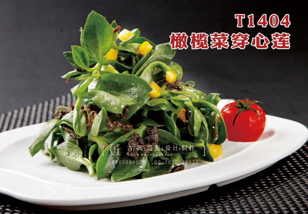 T1404橄榄菜穿心蓮 副本