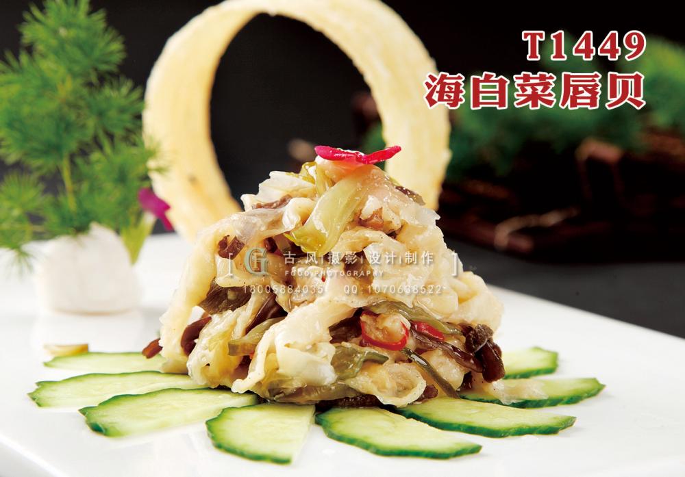 T1449海(hǎi)白(bái)菜唇貝 副本