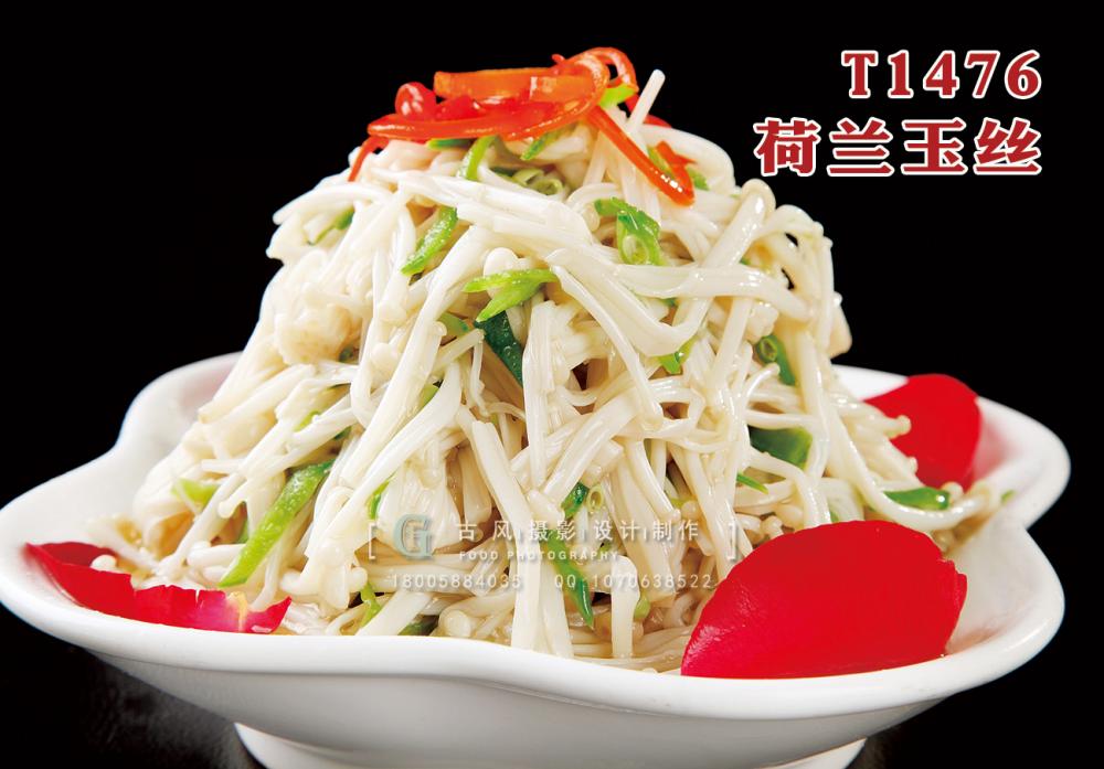 T1476荷蘭玉絲 副本