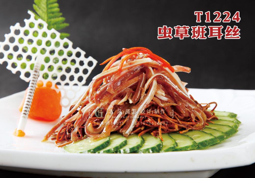 T1224蟲草(cǎo)班耳絲 副本