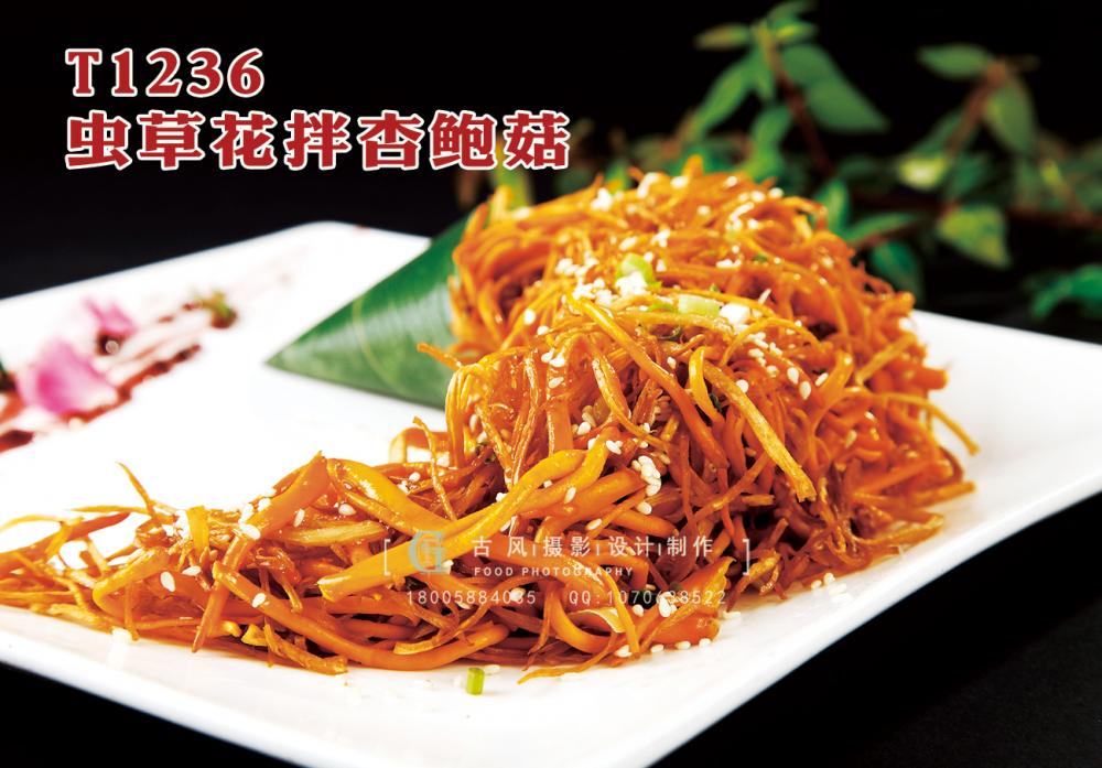 T1236蟲草(cǎo)花(huā)拌杏鮑菇 副本