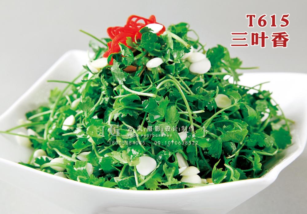 T615三葉香 副本