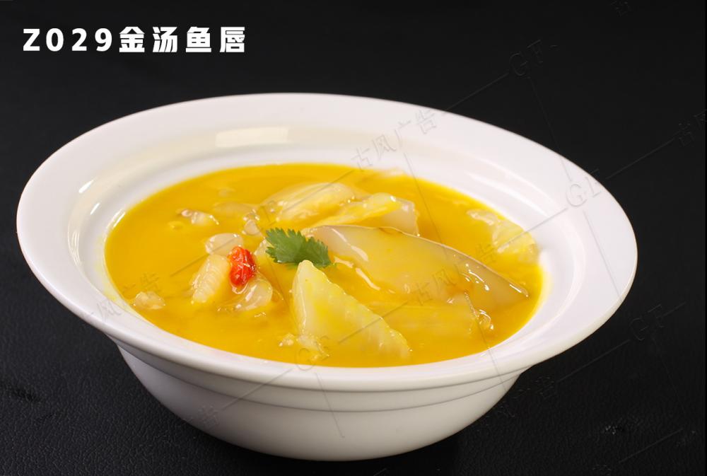 Z029金(jīn)湯魚唇