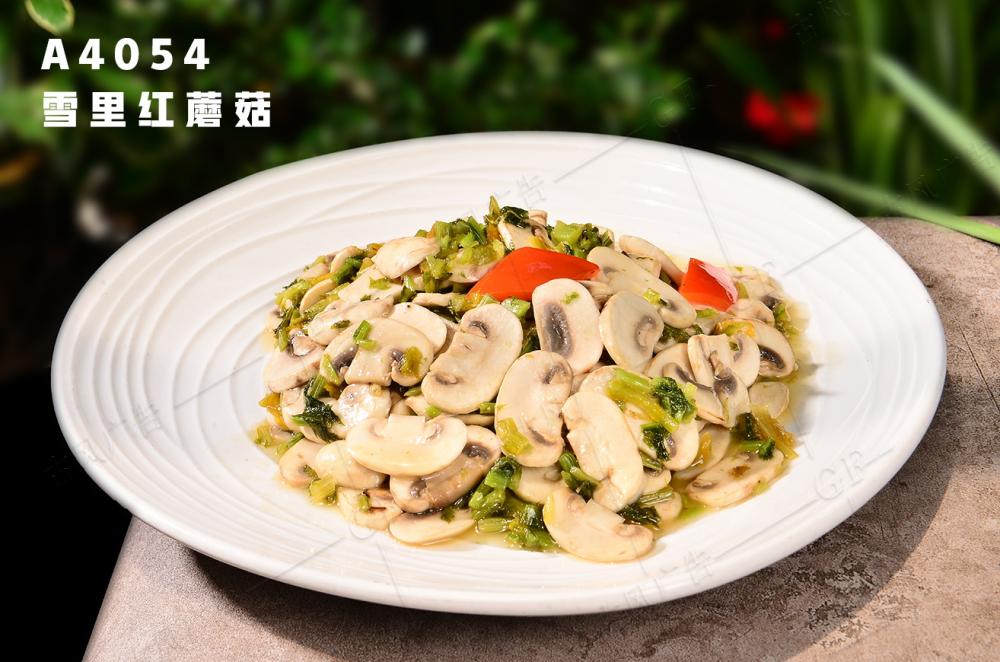 A4054雪(xuě)裡(lǐ)紅(hóng)蘑菇