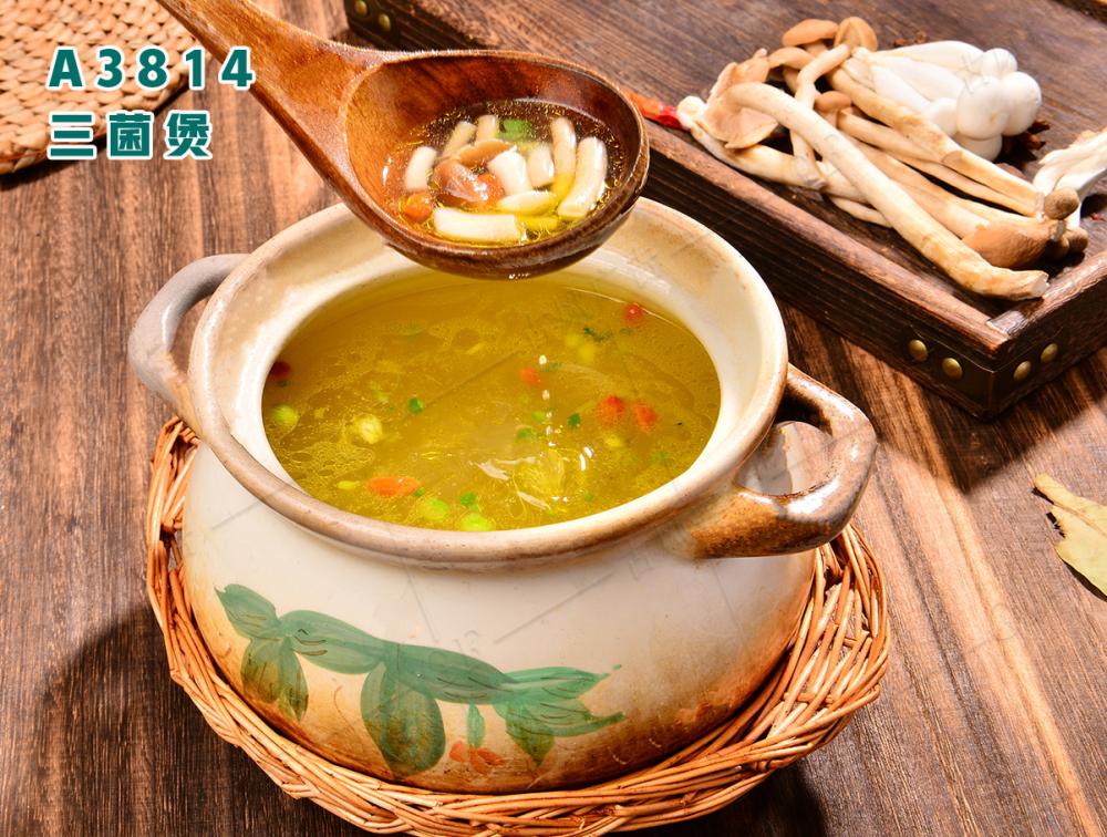 A3814三菌煲