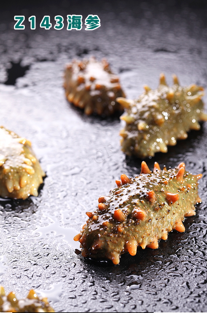 Z143海(hǎi)參