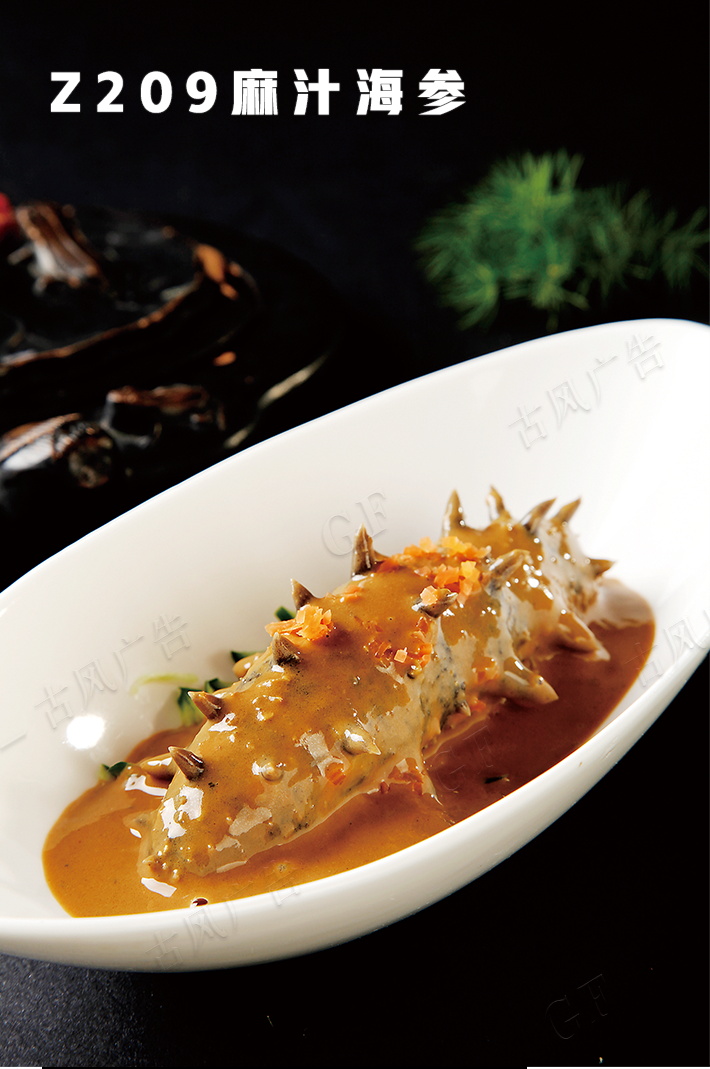 Z209麻汁海(hǎi)參