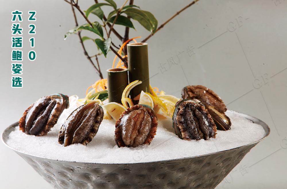 Z210六頭活鮑姿選