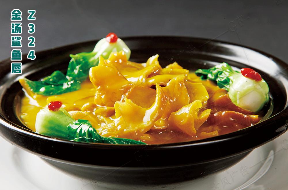 Z324金(jīn)湯鲨魚唇