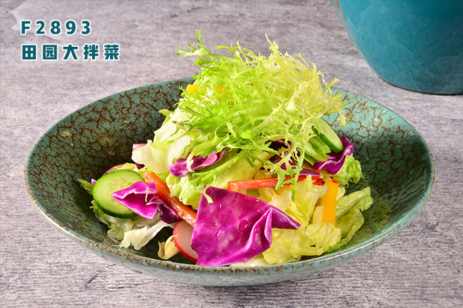 F2893田園大(dà)拌菜