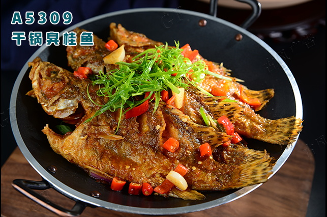 A5309幹鍋臭桂魚