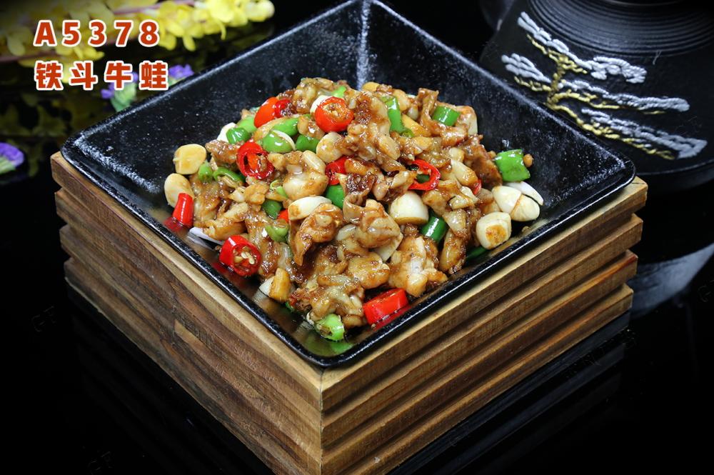 A5378鐵(tiě)鬥牛蛙