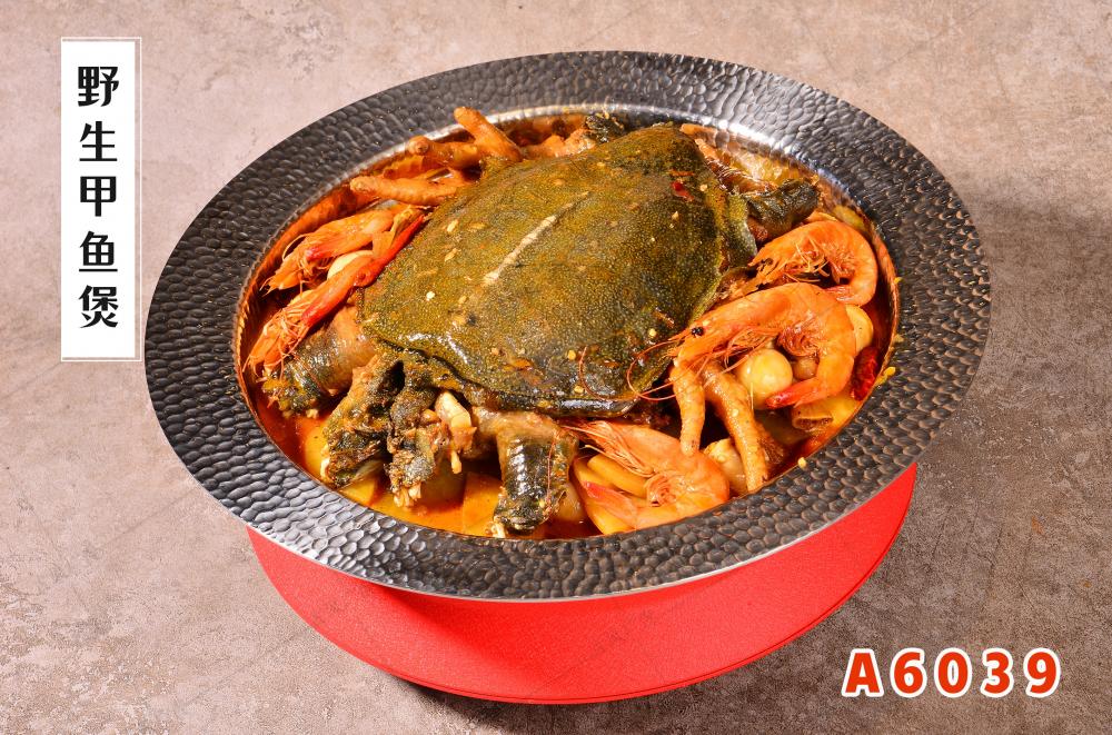 A6039野生(shēng)甲魚煲