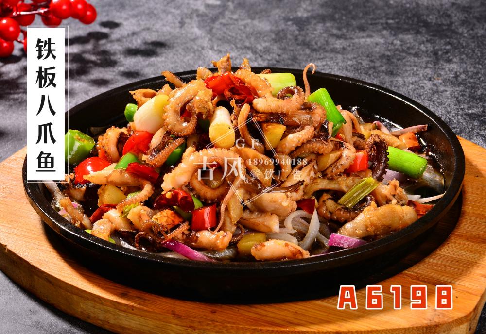 A6198鐵(tiě)闆八爪魚