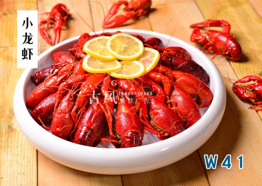 W41小(xiǎo)龍蝦