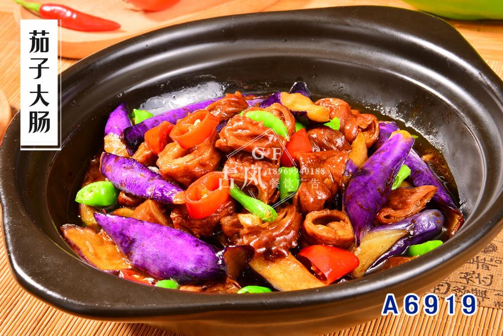 A6919茄子(zǐ)大(dà)腸