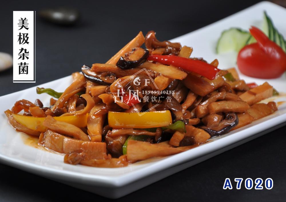 A7020美(měi)極雜(zá)菌