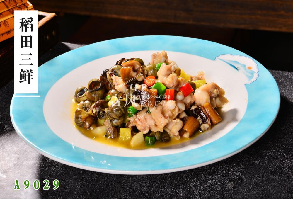 A9029稻田三鮮