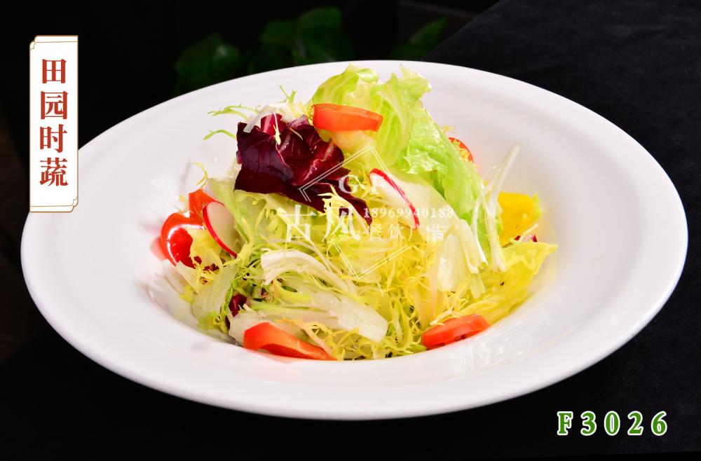 F3026田園時(shí)蔬