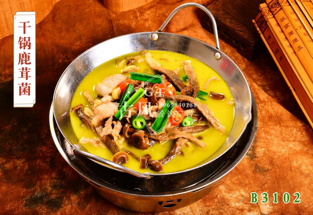 B3102幹鍋鹿茸菌