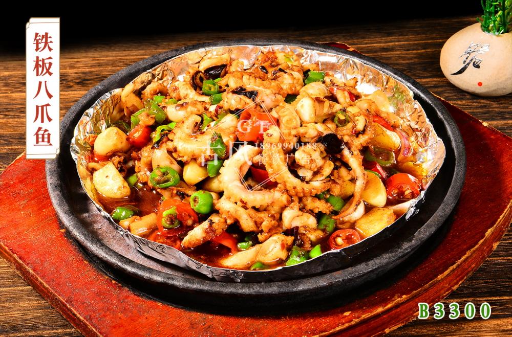 B3300鐵(tiě)闆八爪魚