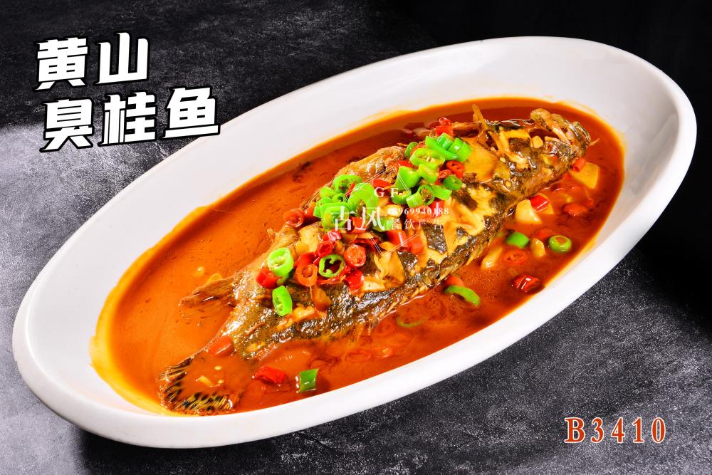 B3410黃(huáng)山(shān)臭桂魚