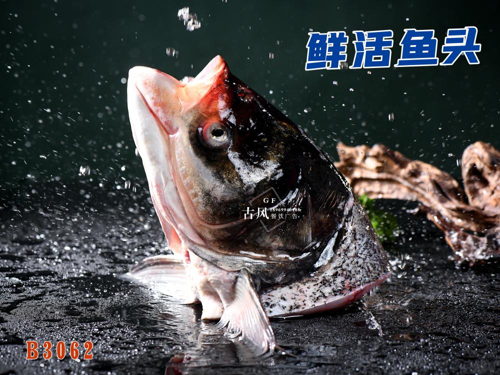 B3062鮮活魚頭