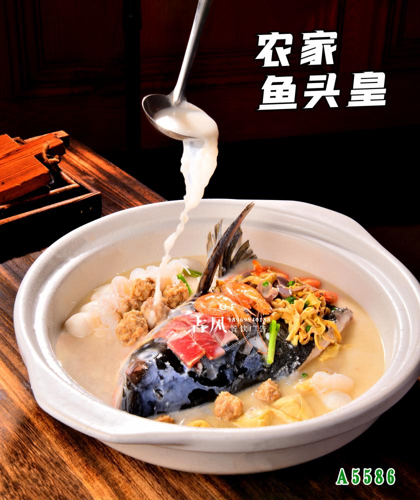 A5586農(nóng)家(jiā)魚頭皇