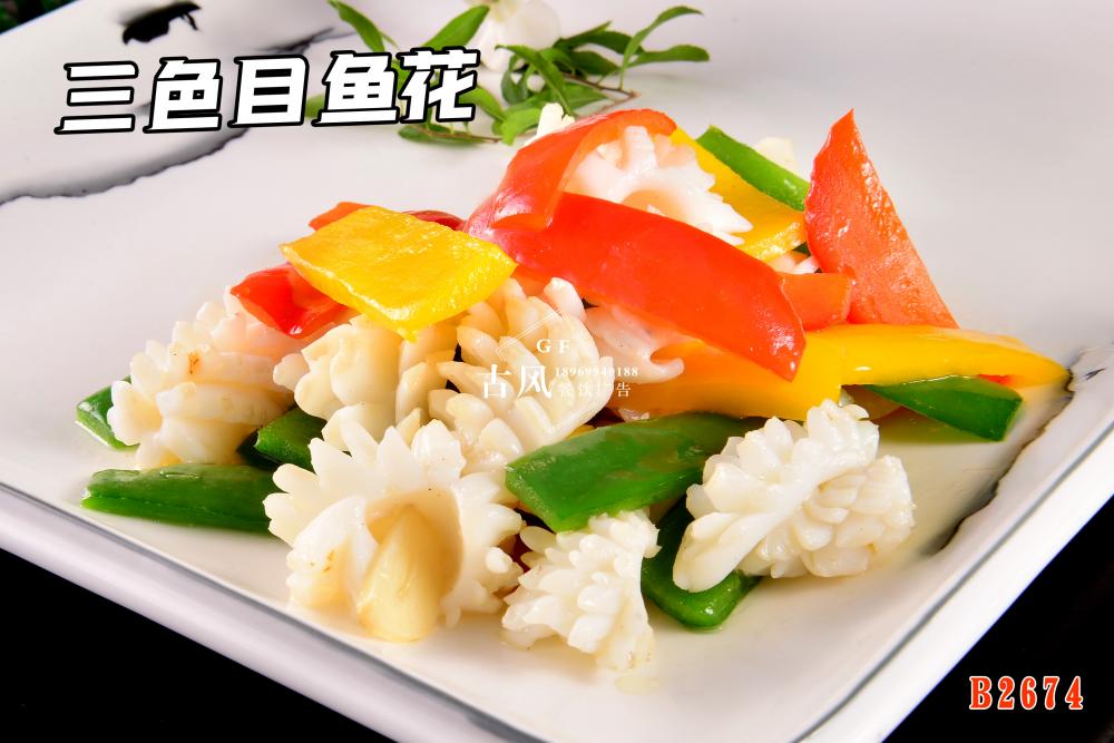 B2674三色目魚花(huā) (2)