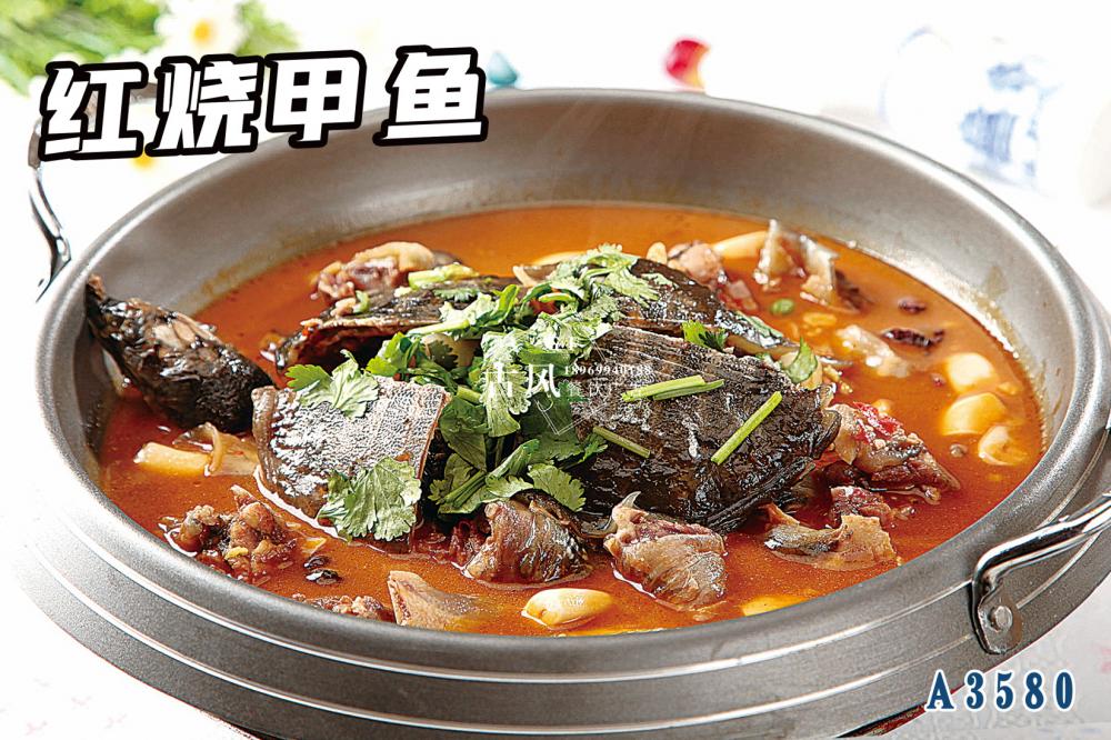 A3580紅(hóng)燒甲魚