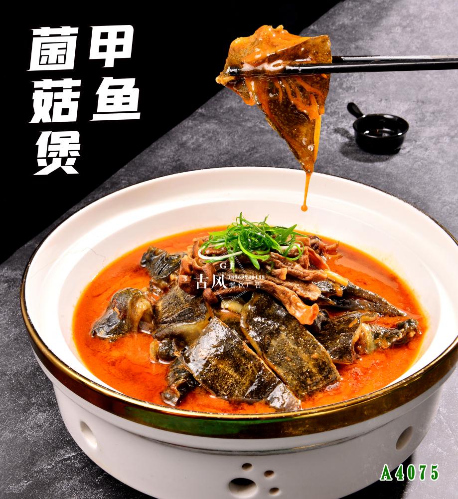 A4075甲魚菌菇煲 (3)