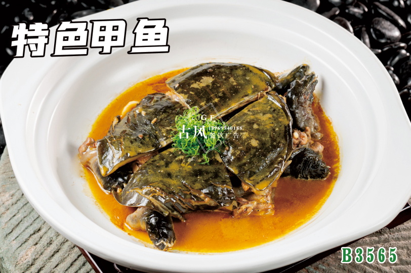 B3565特色甲魚