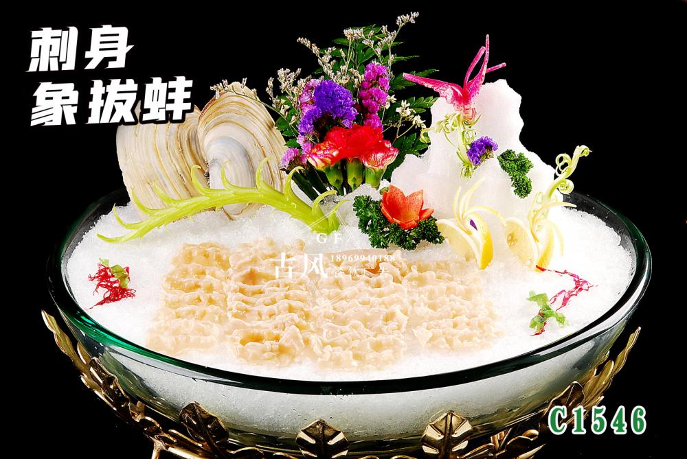 C1546刺身(shēn)象拔蚌