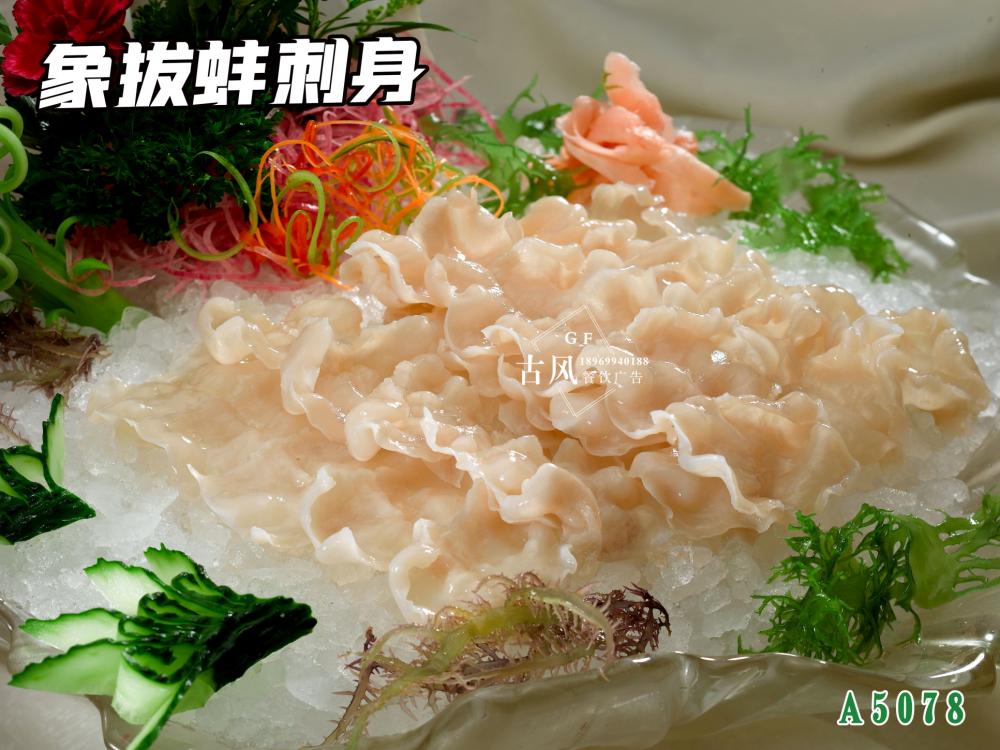 A5078象拔蚌刺身(shēn)