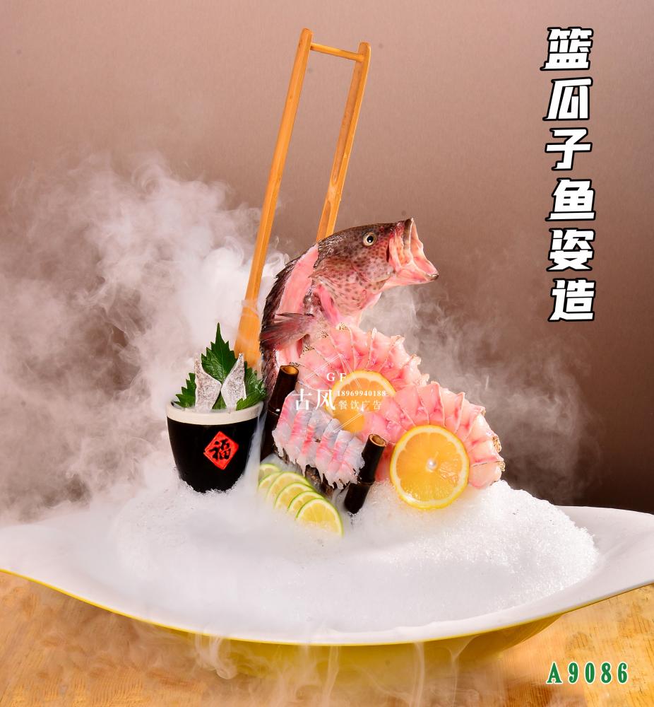 A9086籃瓜子(zǐ)魚姿造