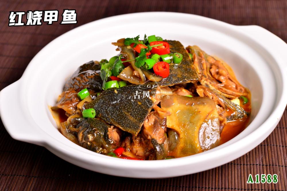 A1588紅(hóng)燒甲魚