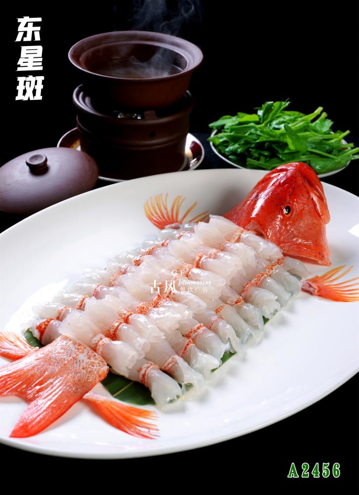 A2456東(dōng)星斑