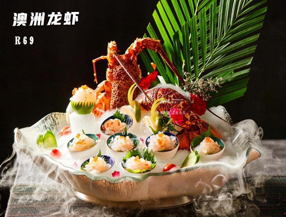 R69澳洲龍蝦