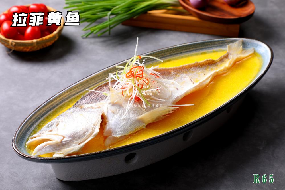 R65拉菲黃(huáng)魚