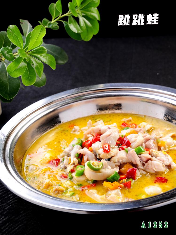 A1353跳(tiào)跳(tiào)蛙 牛蛙