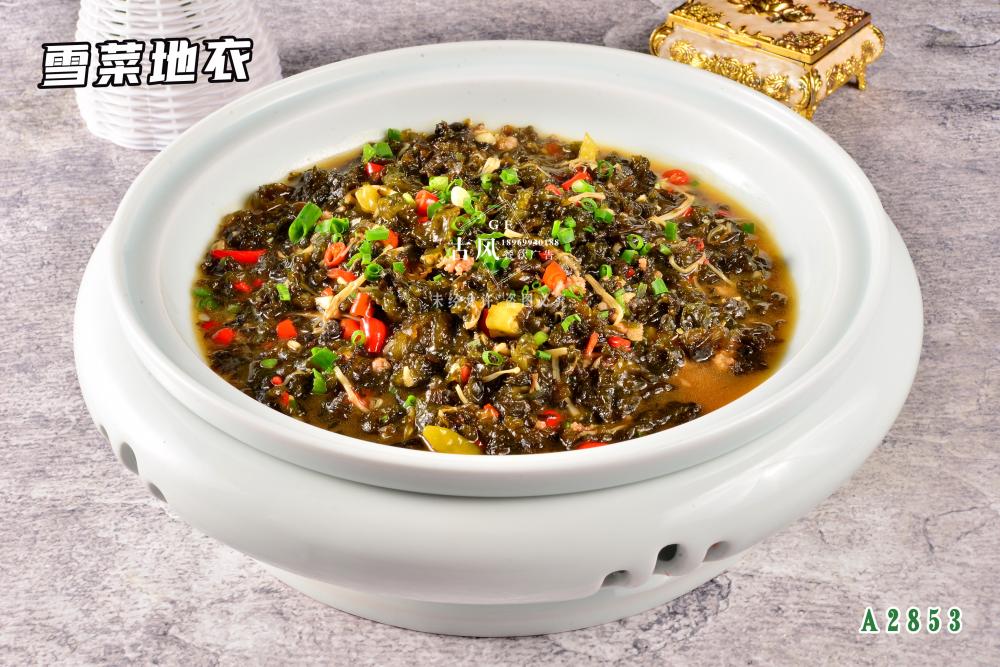 A2853雪(xuě)菜地(dì)衣