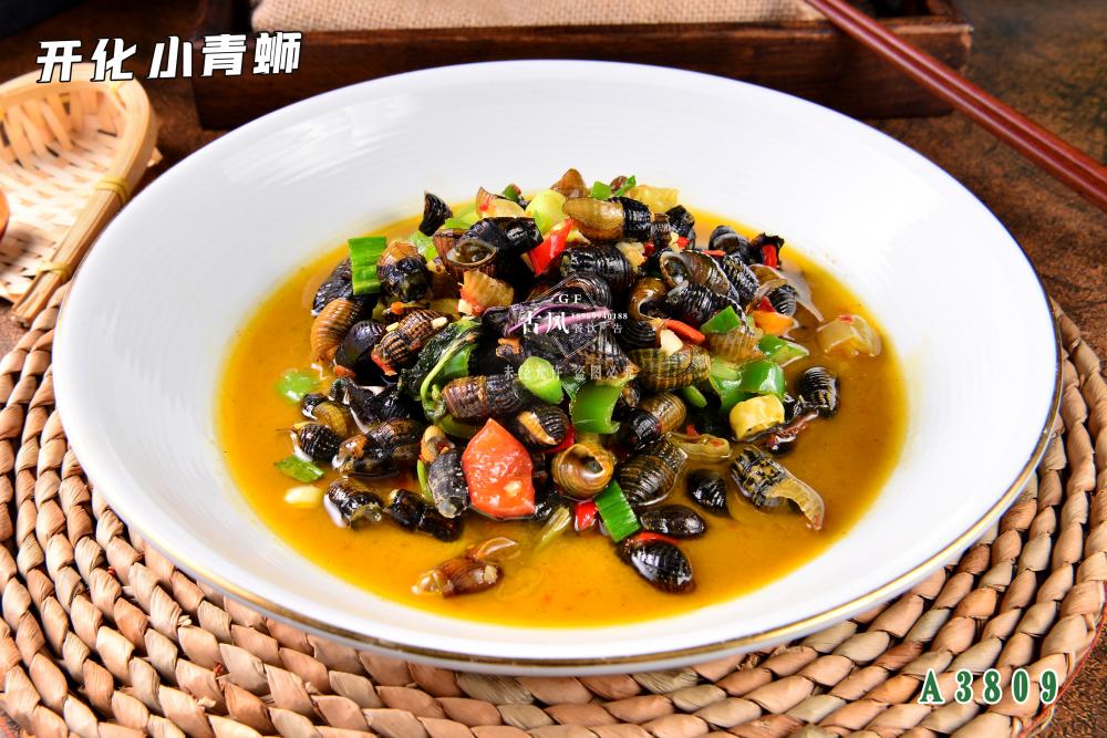 A3809開(kāi)化(huà)小(xiǎo)青蛳