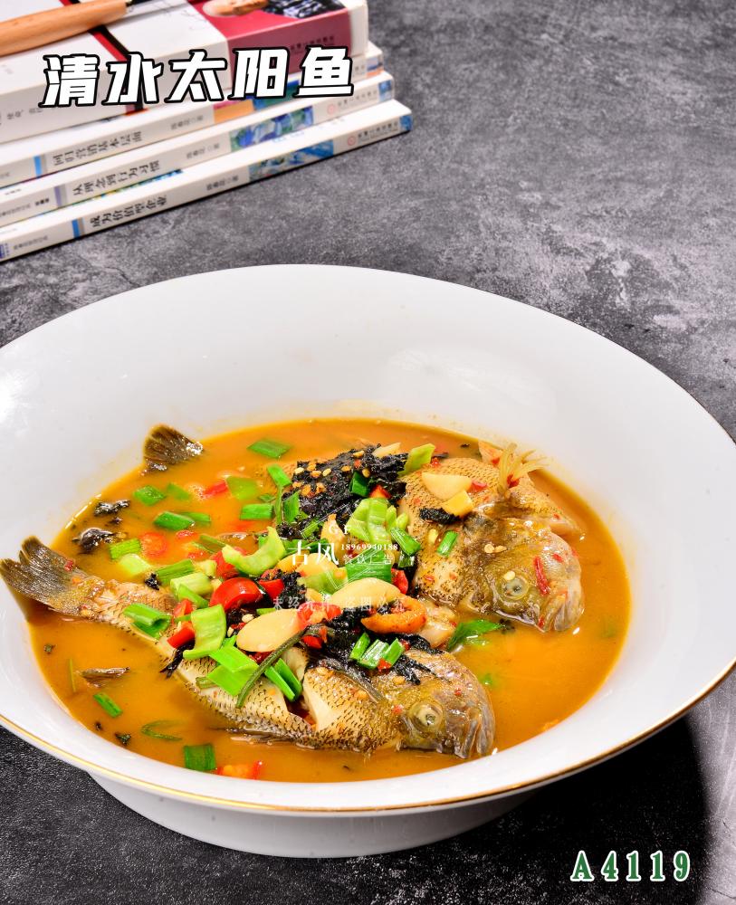 A4119清水(shuǐ)太陽魚