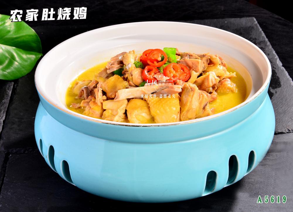 A5619農(nóng)家(jiā)肚燒雞  豬肚雞 肚包雞