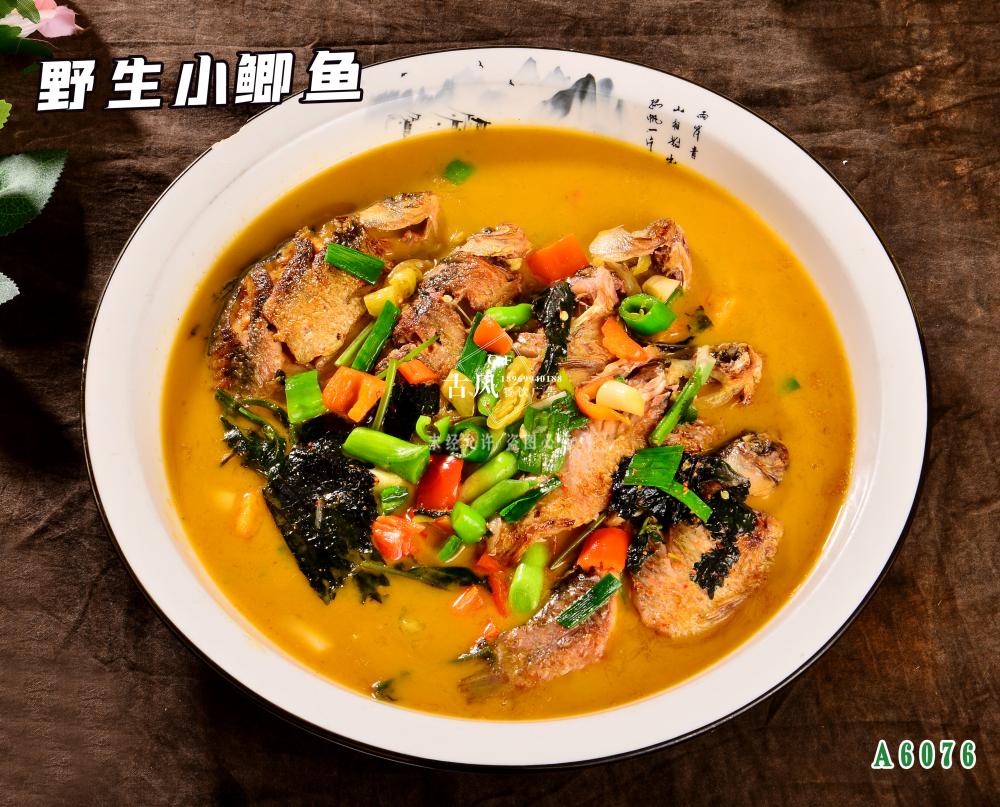 A6076野生(shēng)小(xiǎo)鲫魚