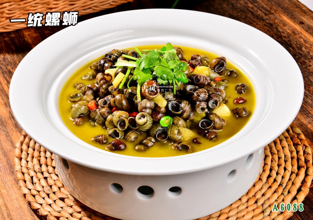 A6088一(yī)統螺蛳