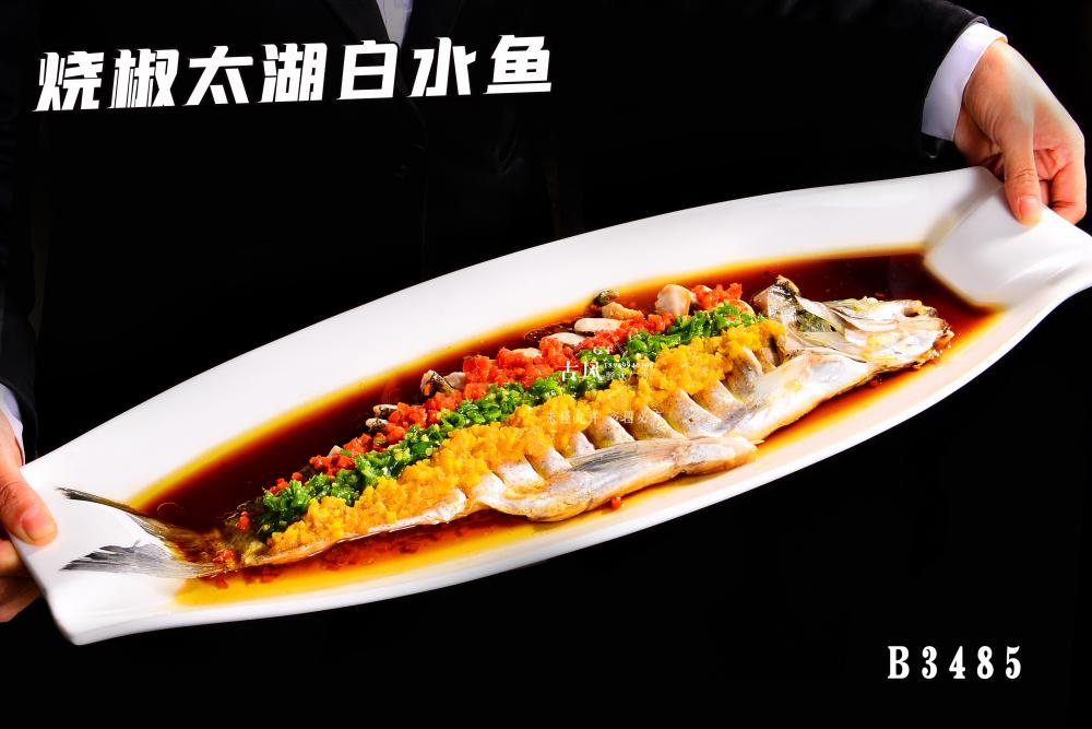 B3485燒椒太湖(hú)白(bái)水(shuǐ)魚 