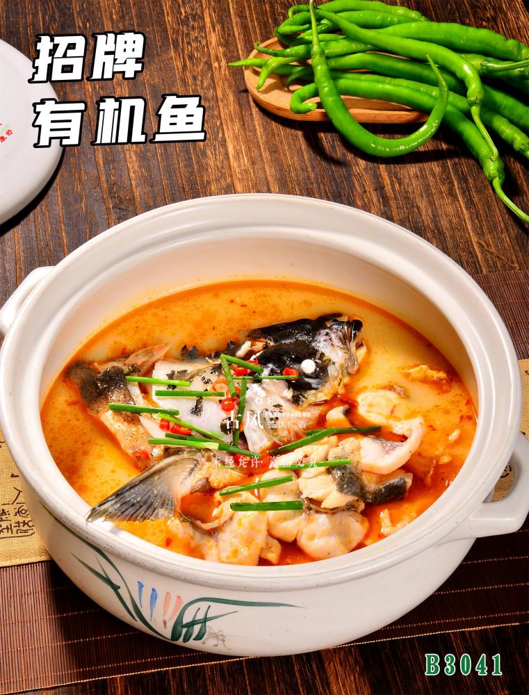 B3041招牌有(yǒu)機(jī)魚