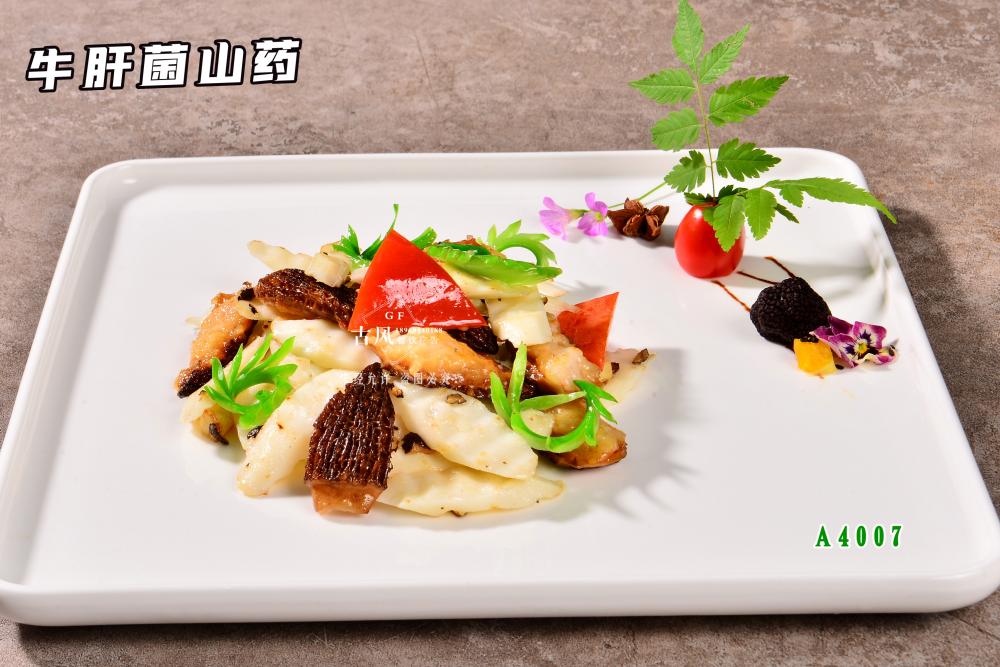 A4007牛肝菌山(shān)藥