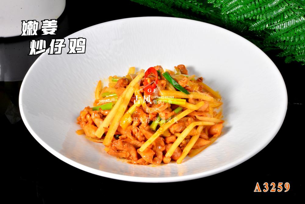 A3259嫩姜炒仔雞